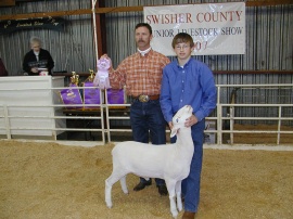 1st place class / Reserve Champion show